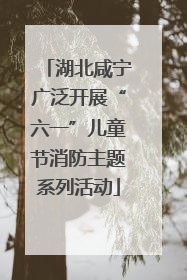 湖北咸宁广泛开展“六一”儿童节消防主题系列活动
