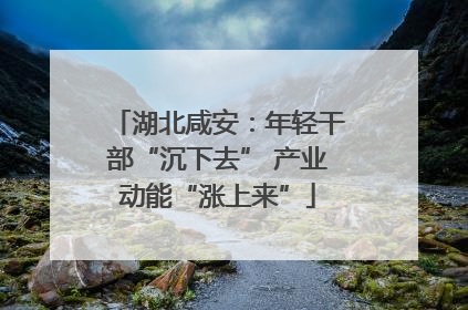 湖北咸安：年轻干部“沉下去” 产业动能“涨上来”