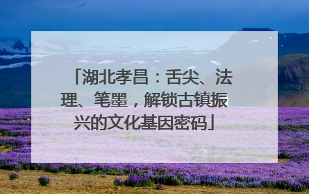 湖北孝昌：舌尖、法理、笔墨，解锁古镇振兴的文化基因密码