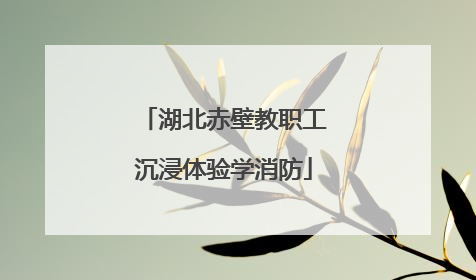 湖北赤壁教职工沉浸体验学消防