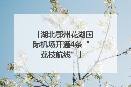 湖北鄂州花湖国际机场开通4条“荔枝航线”
