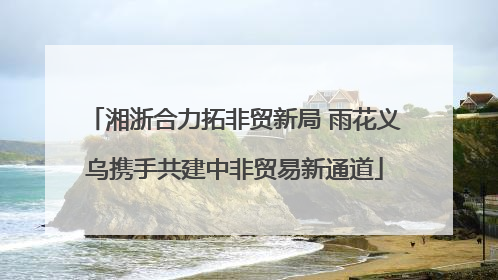 湘浙合力拓非贸新局 雨花义乌携手共建中非贸易新通道