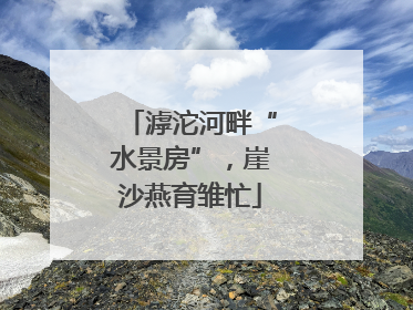 滹沱河畔“水景房”，崖沙燕育雏忙
