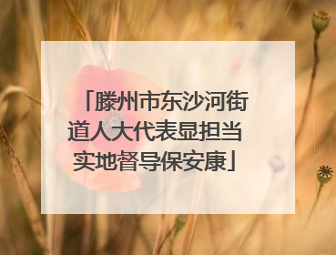 滕州市东沙河街道人大代表显担当实地督导保安康