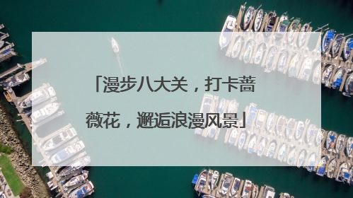 漫步八大关，打卡蔷薇花，邂逅浪漫风景