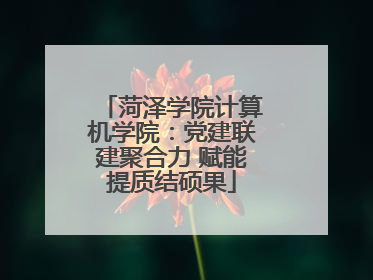 菏泽学院计算机学院：党建联建聚合力 赋能提质结硕果