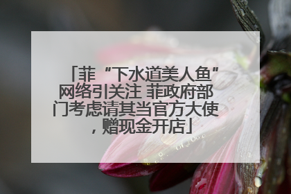 菲“下水道美人鱼”网络引关注 菲政府部门考虑请其当官方大使，赠现金开店