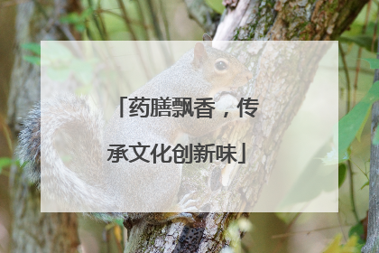 药膳飘香，传承文化创新味