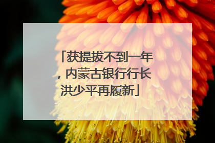获提拔不到一年，内蒙古银行行长洪少平再履新
