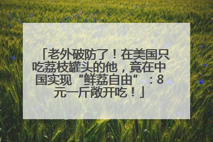 老外破防了！在美国只吃荔枝罐头的他，竟在中国实现“鲜荔自由”：8元一斤敞开吃！