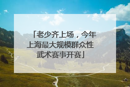 老少齐上场，今年上海最大规模群众性武术赛事开赛