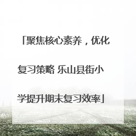 聚焦核心素养，优化复习策略 乐山县街小学提升期末复习效率