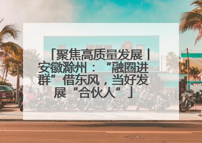聚焦高质量发展丨安徽滁州：“融圈进群”借东风，当好发展“合伙人”
