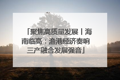 聚焦高质量发展丨海南临高：渔港经济奏响三产融合发展强音