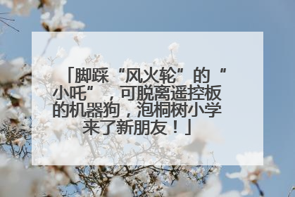 脚踩“风火轮”的“小吒”，可脱离遥控板的机器狗，泡桐树小学来了新朋友！