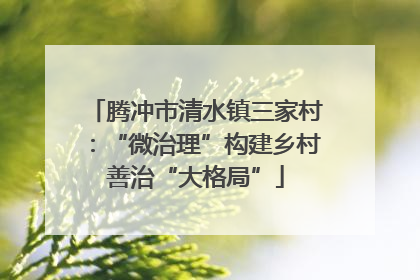 腾冲市清水镇三家村：“微治理”构建乡村善治“大格局”