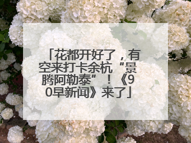 花都开好了，有空来打卡余杭“景腾阿勒泰”！《90早新闻》来了