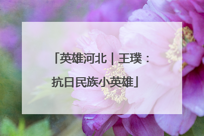 英雄河北｜王璞：抗日民族小英雄