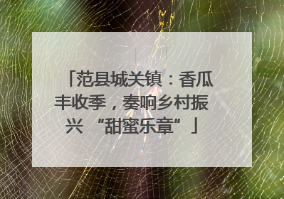 范县城关镇：香瓜丰收季，奏响乡村振兴 “甜蜜乐章”