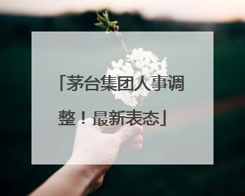 茅台集团人事调整！最新表态