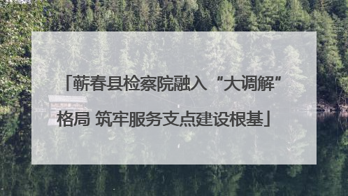 蕲春县检察院融入“大调解”格局 筑牢服务支点建设根基