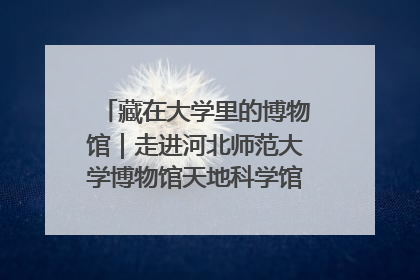 藏在大学里的博物馆｜走进河北师范大学博物馆天地科学馆：在校园里赴一场“宇宙之约”
