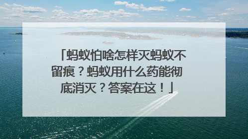 蚂蚁怕啥怎样灭蚂蚁不留痕？蚂蚁用什么药能彻底消灭？答案在这！