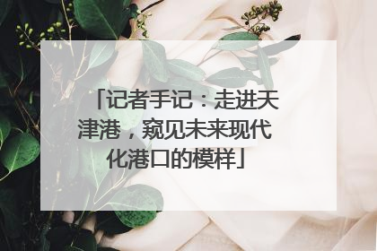 记者手记：走进天津港，窥见未来现代化港口的模样