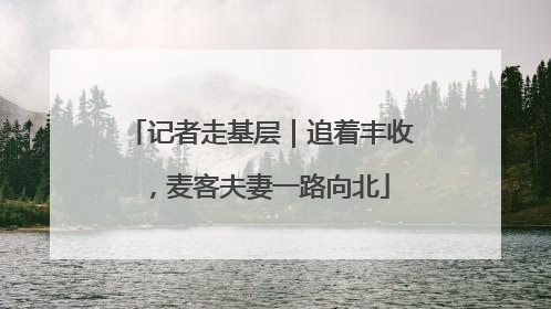 记者走基层｜追着丰收，麦客夫妻一路向北