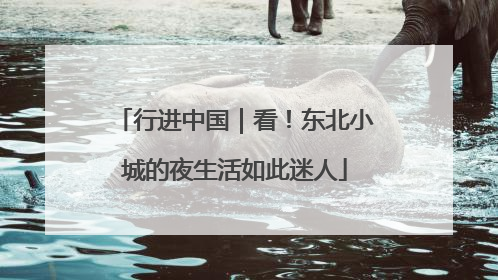 行进中国｜看！东北小城的夜生活如此迷人