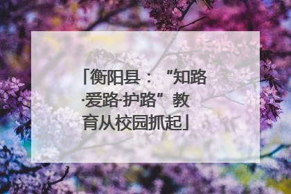 衡阳县：“知路·爱路·护路”教育从校园抓起