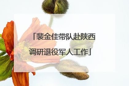 裴金佳带队赴陕西调研退役军人工作