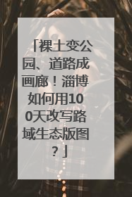 裸土变公园、道路成画廊！淄博如何用100天改写路域生态版图？