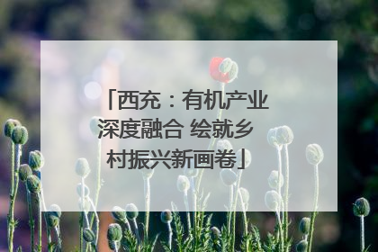 西充：有机产业深度融合 绘就乡村振兴新画卷