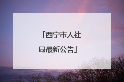 西宁市人社局最新公告