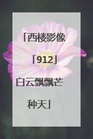 西楼影像「912」白云飘飘芒种天