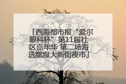 西海都市报“爱尔眼科杯”第11届社区嘉年华 第二场海选燃爆大新街夜市