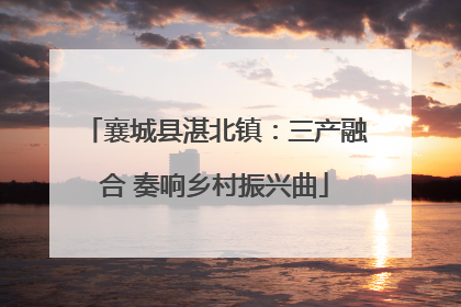 襄城县湛北镇：三产融合 奏响乡村振兴曲