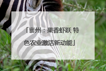 襄州：果香虾跃 特色农业激活新动能