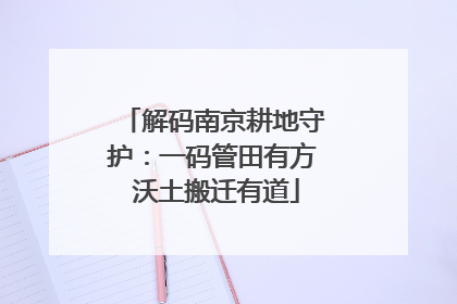 解码南京耕地守护：一码管田有方 沃土搬迁有道