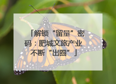解锁“留量”密码：肥城文旅产业不断“出圈”