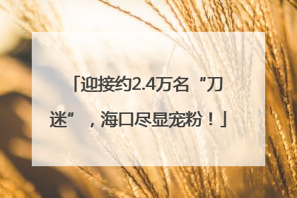迎接约2.4万名“刀迷”，海口尽显宠粉！