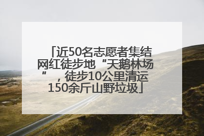 近50名志愿者集结网红徒步地“天鹅林场”，徒步10公里清运150余斤山野垃圾