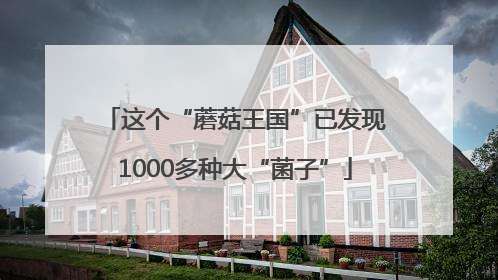 这个“蘑菇王国”已发现1000多种大“菌子”