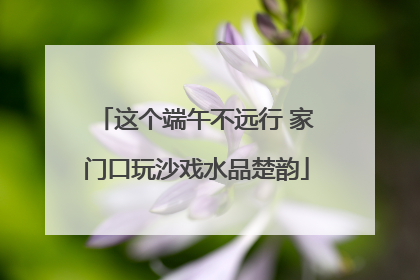 这个端午不远行 家门口玩沙戏水品楚韵