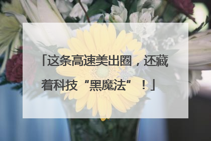 这条高速美出圈，还藏着科技“黑魔法”！