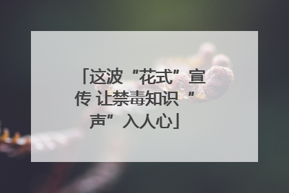 这波“花式”宣传 让禁毒知识“声”入人心