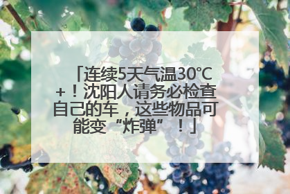 连续5天气温30℃+！沈阳人请务必检查自己的车，这些物品可能变“炸弹”！