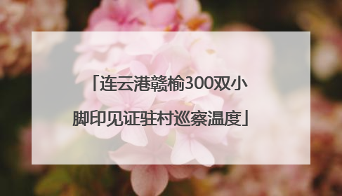 连云港赣榆300双小脚印见证驻村巡察温度