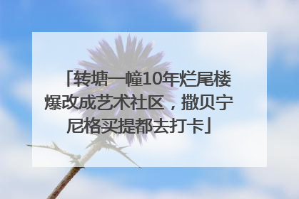 转塘一幢10年烂尾楼爆改成艺术社区，撒贝宁尼格买提都去打卡